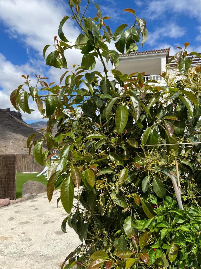 Casa Rural Con Bano Adaptado Y Piscina En Mogán Εξωτερικό φωτογραφία